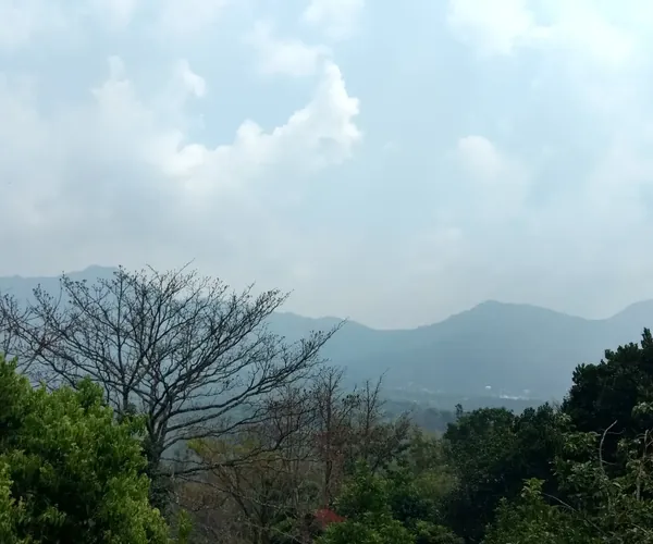 A view of the Misty Nilgiri mountains