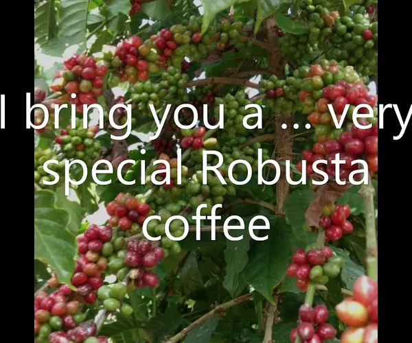 Rosewood Cafe' promo 1